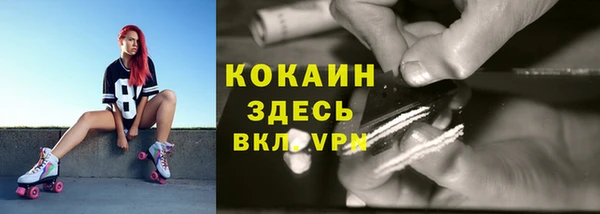 эйфоретик Беломорск