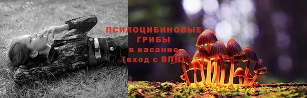 эйфоретик Беломорск